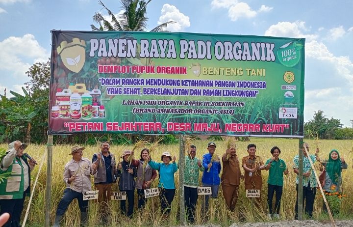 Pupuk Benteng Tani: Dari Keraguan Petani hingga Bukti Panen Organik Berdaya Saing