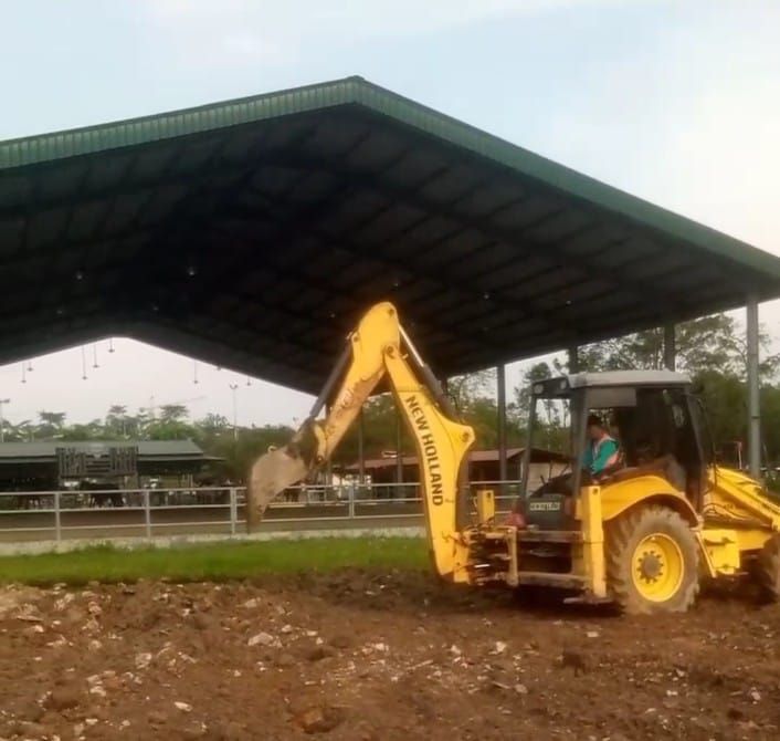 Siapkan Event Wali Kota Cup 2026, Pordasi Medan dan Pordasi Sumut Kolaborasi Benahi Stable Berkuda Taman Cadika Medan