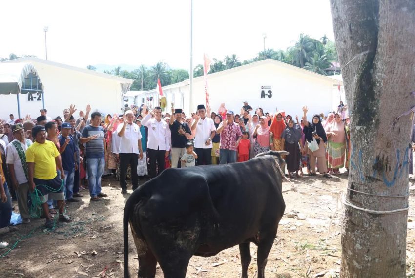 Bangkit Pascabanjir! Di Ramadhan 1447 H, Warga Tapsel Terima 25 Ekor Sapi dari Bupati Gus Irawan