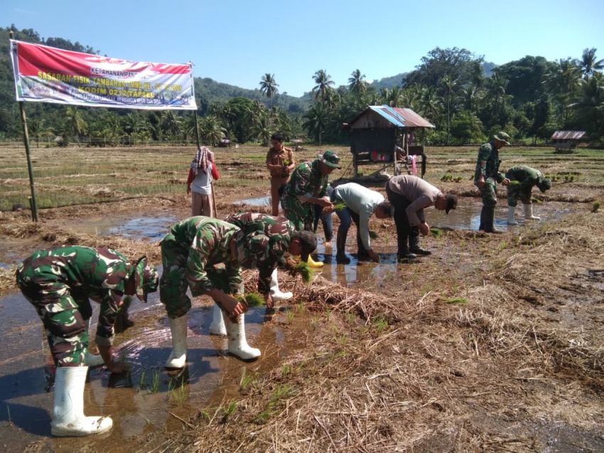 Kolaborasi TNI dan Masyarakat, TMMD ke-127 Kodim 0212/TS Bangun Desa Lewat Pertanian