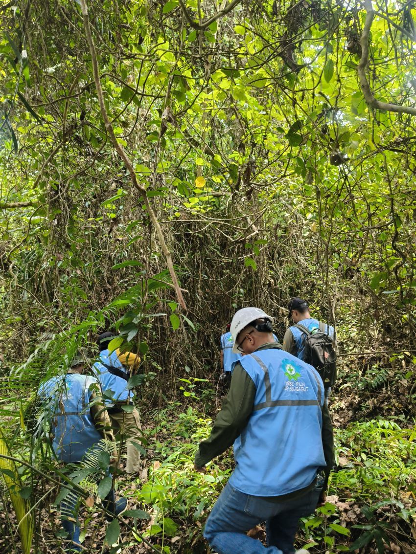 Kolaborasi PLN Dan Balai Besar Taman Nasional Gunung Leuser, Wujudkan Pembangunan Transmisi Berkelanjutan