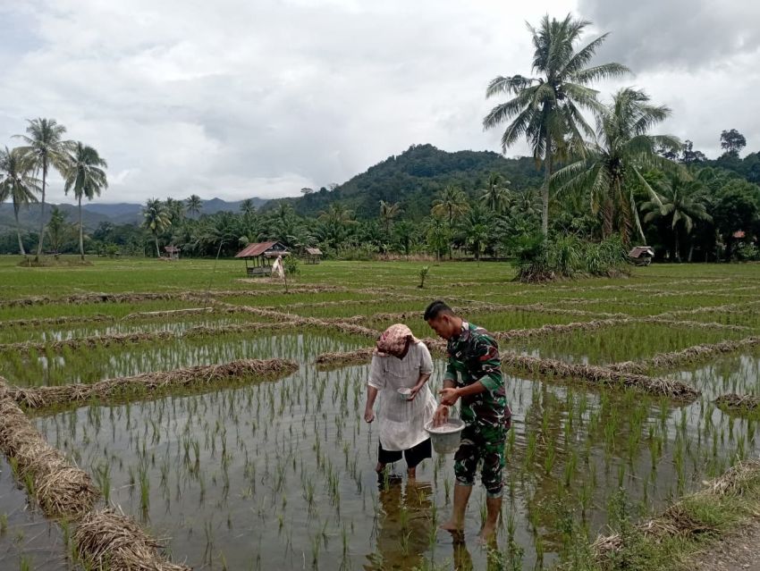 Ibu Nur Hidayah Tak Lagi Sendiri, Momen Satgas TMMD Ke-127 Kodim 0212/Tapsel Menjelma 'Anak Kandung' Rakyat