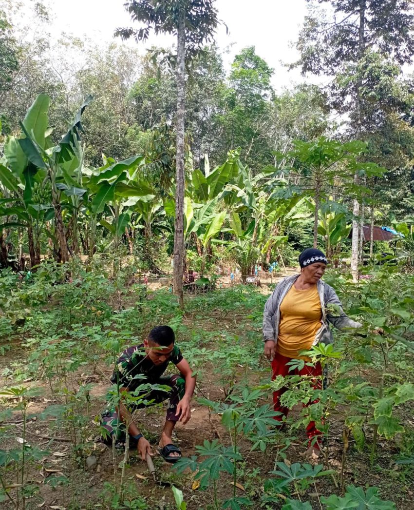 Aksi Humanis Satgas TMMD Ke-127 Kodim 0212/TS, Kopda Dermawan Ringankan Beban Petani di Tapsel