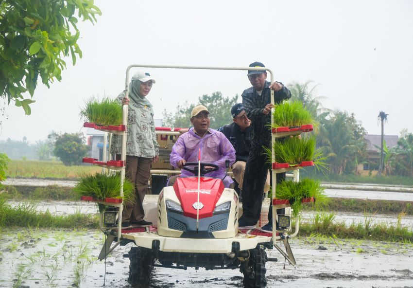 Penanaman Uji Coba IP 300, Target 1 Ha Hasilkan 9 Ton Bukan Hal Mustahil