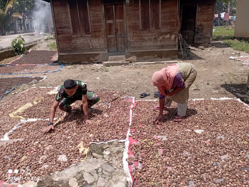 Di Bawah Terik Matahari, Satgas TMMD ke-127 Kodim 0212/TS dan Ibu Desa Bersatu Jemur Harapan dari Butir-Butir Pinang