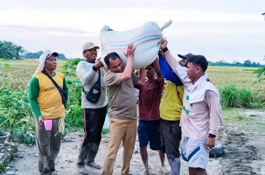 Sergai Posisi Pertama Luas Panen dan Produksi Padi di Sumut, Darma Wijaya: &ldquo;Berkat Dukungan Berbagai Pihak&rdquo;