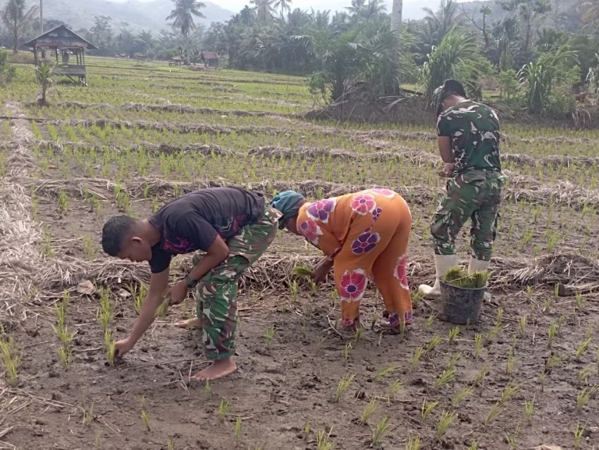 Dari Medan Tugas ke Pematang Sawah, Satgas TMMD ke-127 Kodim 0212/TS Buktikan Kemanunggalan TNI dan Rakyat di Angkola Sangkunur