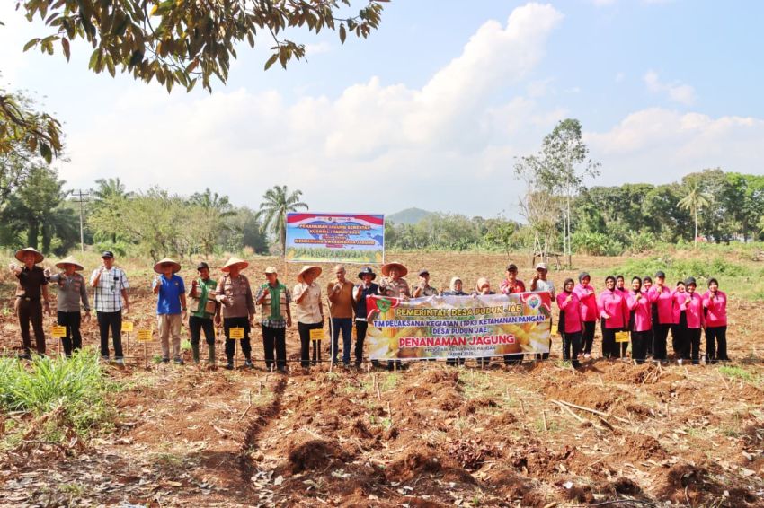 Polres Padangsidimpuan Tanam Jagung Serentak 2026, Dukung Target Swasembada Pangan Nasional