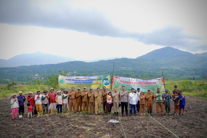 Bupati Bersama Kapolres Pakpak Bharat Menanam Jagung Di Lahan Masyarakat