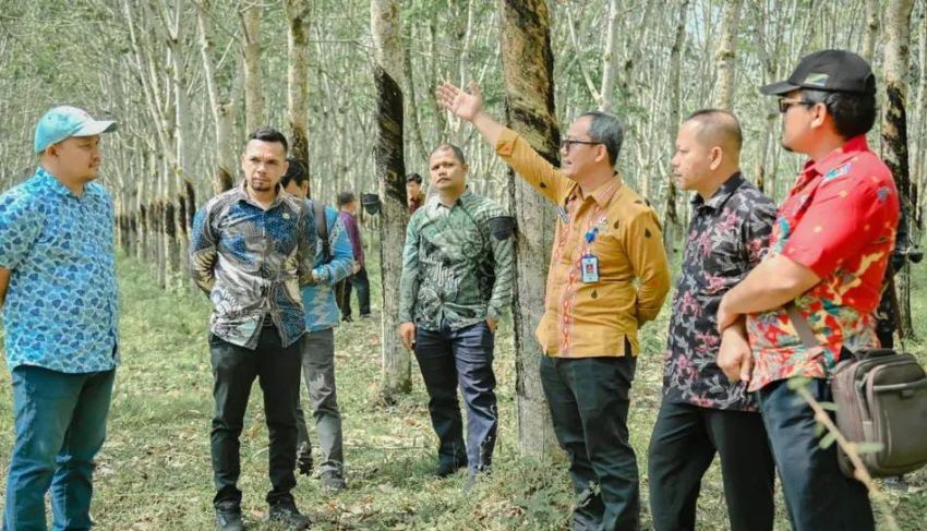 Sekda Padangsidimpuan Tinjau Calon Lokasi Hunian Tetap bagi Warga Terdampak Bencana
