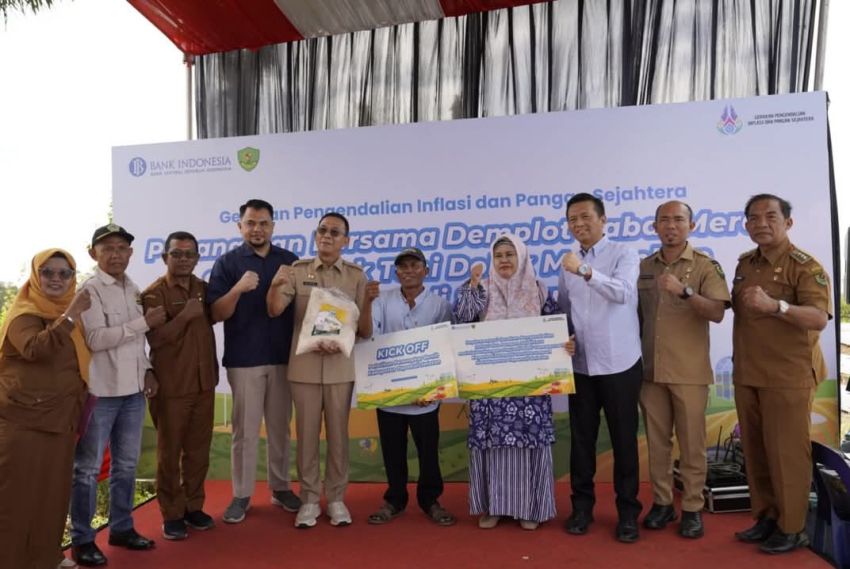 Dari Gagal Panen ke Tanam 7.500 Cabai, Strategi Tapsel Pulihkan Ekonomi Daerah, Bupati Pastikan PDRB Tetap Stabil