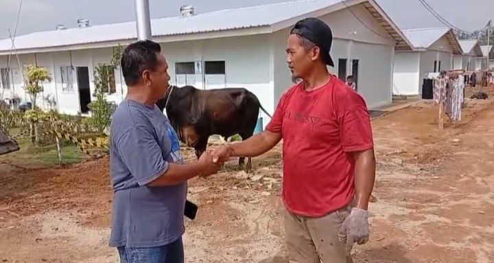 Gubernur Bobby Nasution Salurkan 10 Ekor Sapi untuk Korban Bencana di Tapsel dan Tapteng Jelang Lebaran