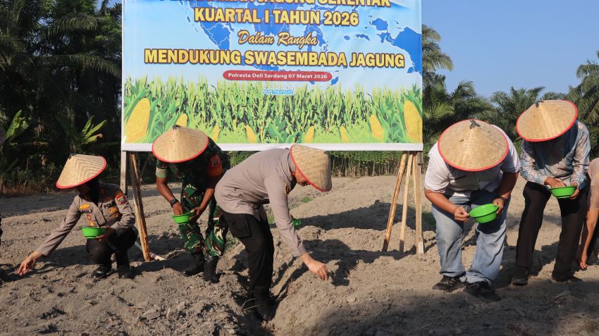 Dukung Ketahanan Pangan Nasional, Polresta Deli Serdang Ikuti Penanaman Jagung Serentak Kuartal I Tahun 2026
