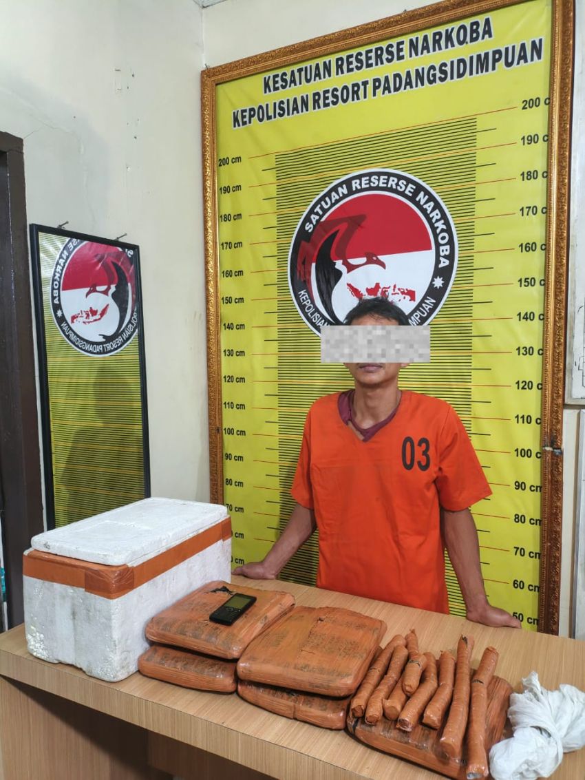Satresnarkoba Polres Padangsidimpuan Bongkar Peredaran Ganja di Tano Bato, 4,4 Kg Barang Bukti Diamankan dari Seorang Wiraswasta
