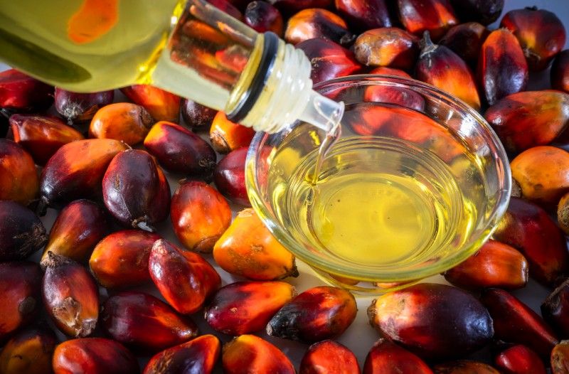 Lonjakan Biaya Plastik Picu Kenaikan Harga Minyak Goreng