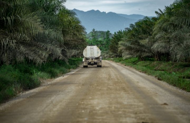 Program Biodiesel Efektif Tekan Impor BBM