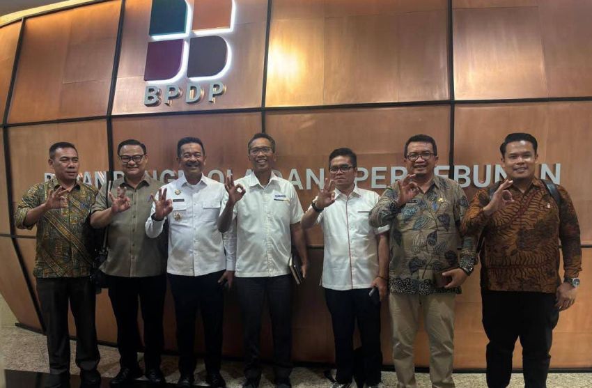 Bupati Madina Saipullah Nasution Tancap Gas ke Jakarta, Dana Sawit dan Beasiswa Jadi Senjata Baru Dongkrak Ekonomi