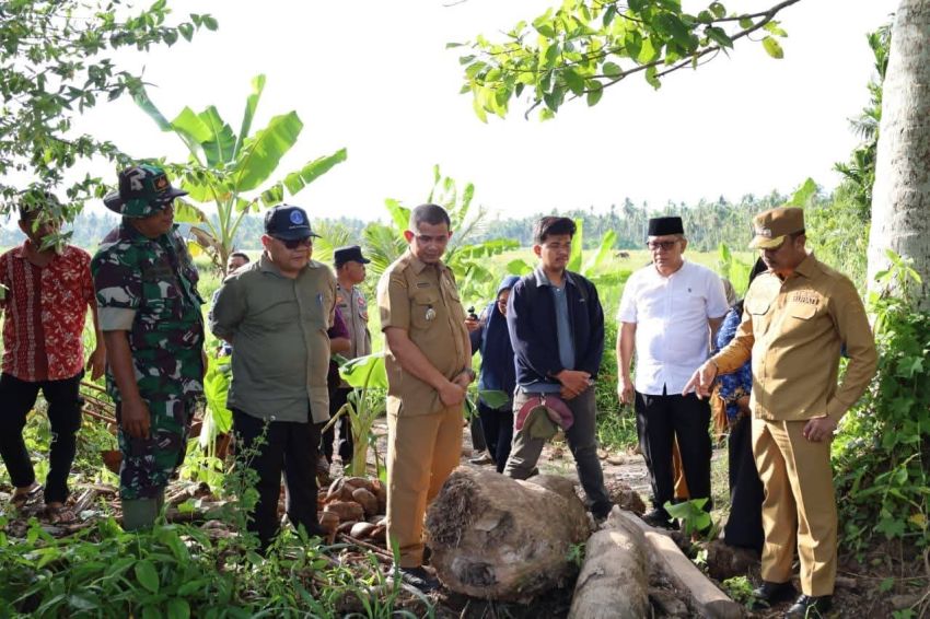 Gerak Cepat Bupati Saipullah Nasution! 17 Hektare Sawah Korban Banjir di Madina Segera Dipulihkan