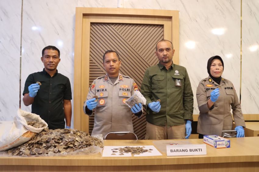 Empat Kali Beraksi! Penjual Sisik Trenggiling Akhirnya Dibekuk Polres Padangsidimpuan, Pelaku Raup Jutaan Rupiah per Kilo!