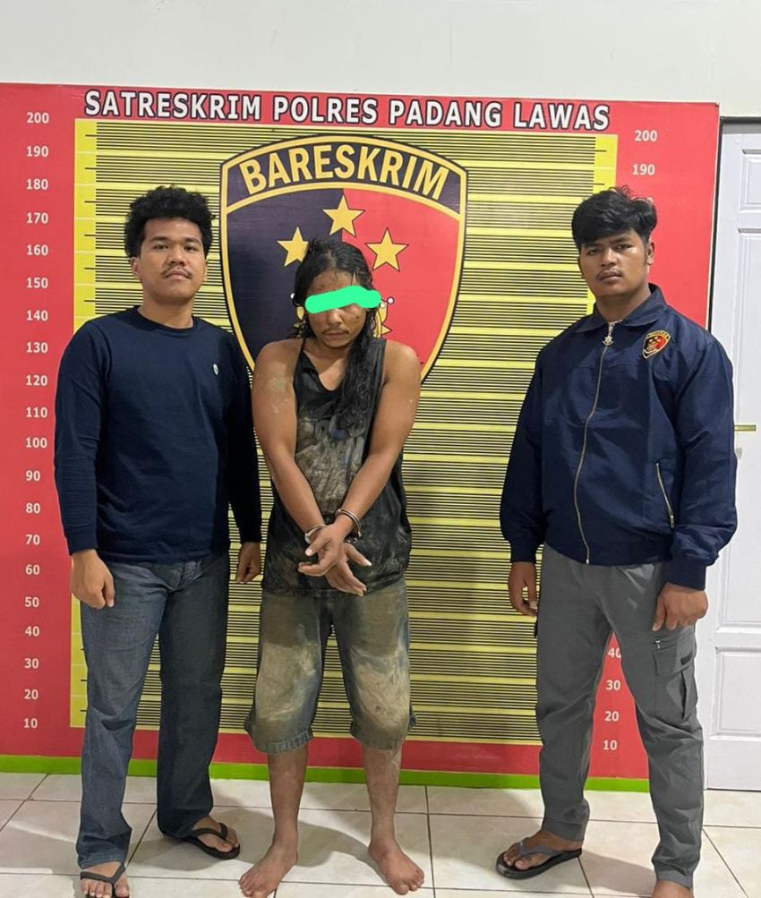 Curi 400 Kg Sawit di Tengah Malam, Satu Pelaku Dibekuk Sat Reskrim Polres Padang Lawas