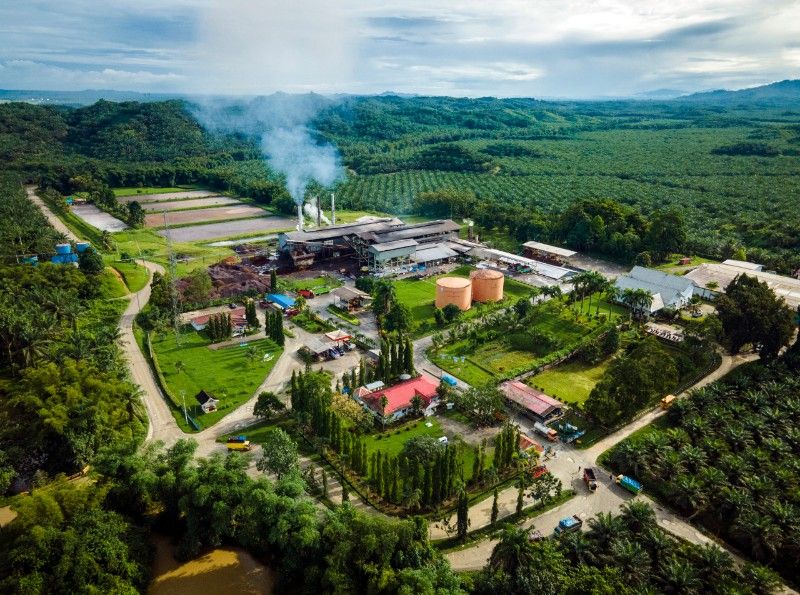 Komitmen Industri Sawit Wujudkan Ekonomi Hijau