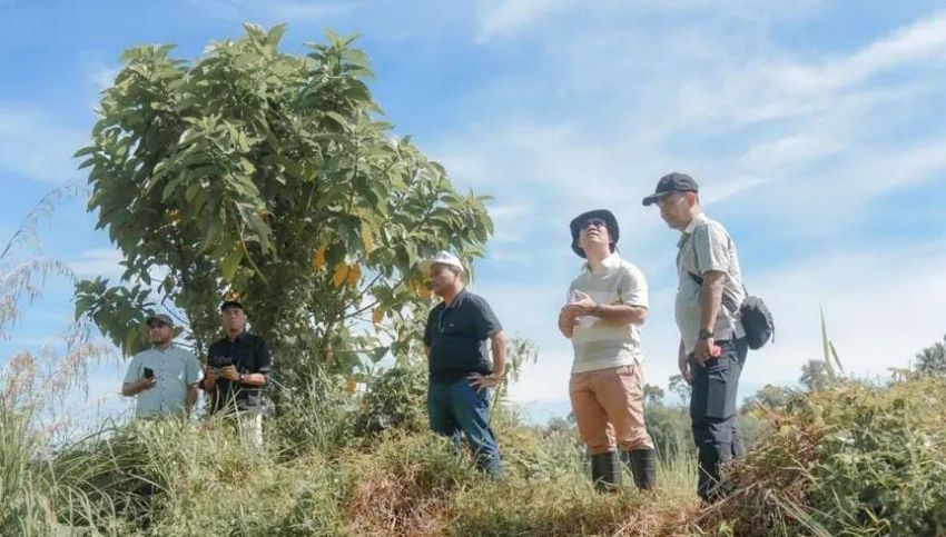 Gerak Cepat! Wali Kota Padangsidimpuan Tinjau Lokasi 1.133 Huntap untuk Korban Bencana