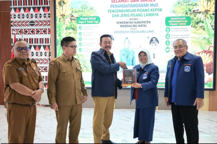 Bupati Saipullah Nasution Gandeng UMA, Pisang Kepok Madina Disulap Jadi Produk Bernilai Tinggi