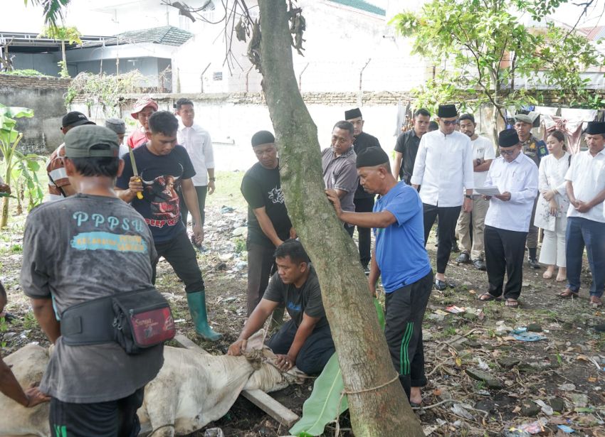 Wali Kota Medan Tegaskan Esensi Kurban: Kebahagiaan Itu Bukan untuk Dinikmati Sendiri