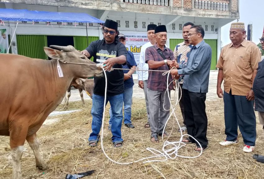 Bersama JMSI Inhu, Agrinas Palma Nusantara dan Pemda Inhu Kurban 2 Sapi