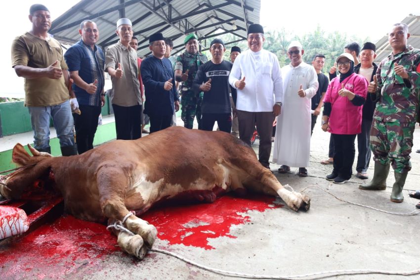 Bupati Asahan Hadiri Penyembelihan Sapi Bantuan Presiden, Warga Air Batu Penuh Rasa Syukur