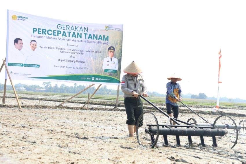 Gerakan Tanam PM-AAS di Sergai, Bupati Darma Wijaya Dorong Pertanian Modern dengan Target 10 Ton per Hektare