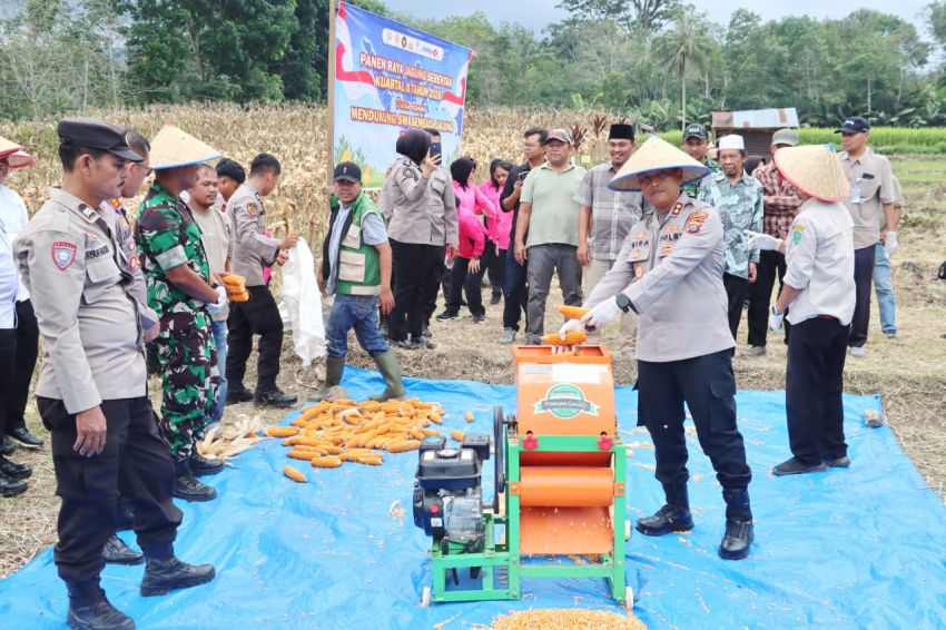 Panen Raya Jagung Kuartal II 2026, Polres Padangsidimpuan Targetkan Produksi 90 Ton untuk Dukung Swasembada Pangan