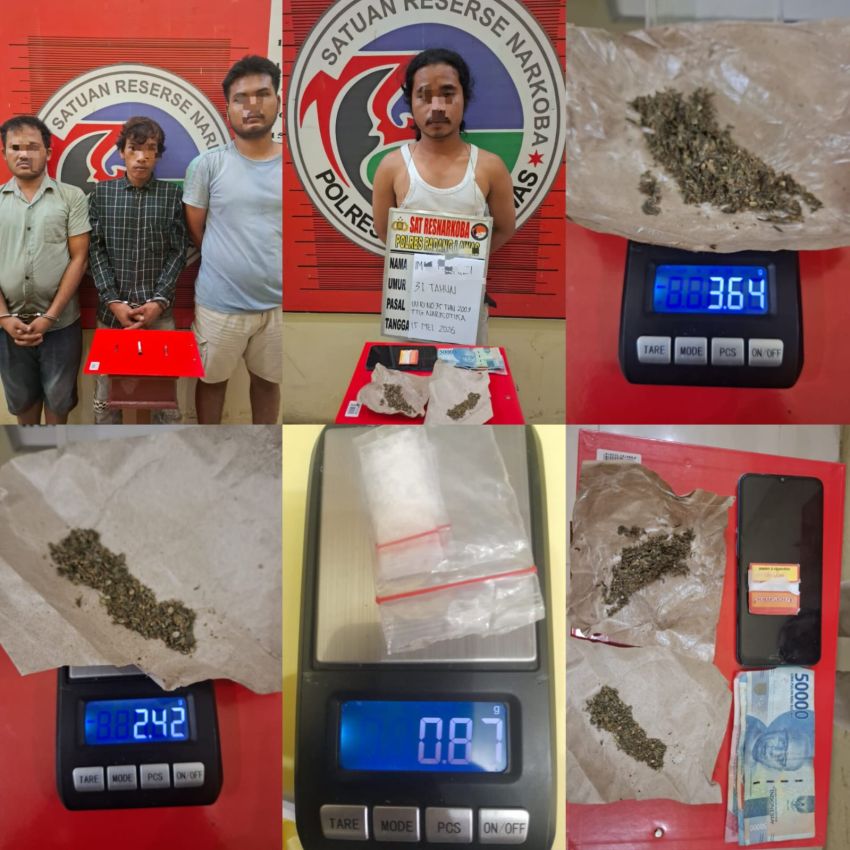 Operasi Kilat Satresnarkoba Polres Palas Berhasil Ringkus 4 Pria Diduga Terlibat Ganja