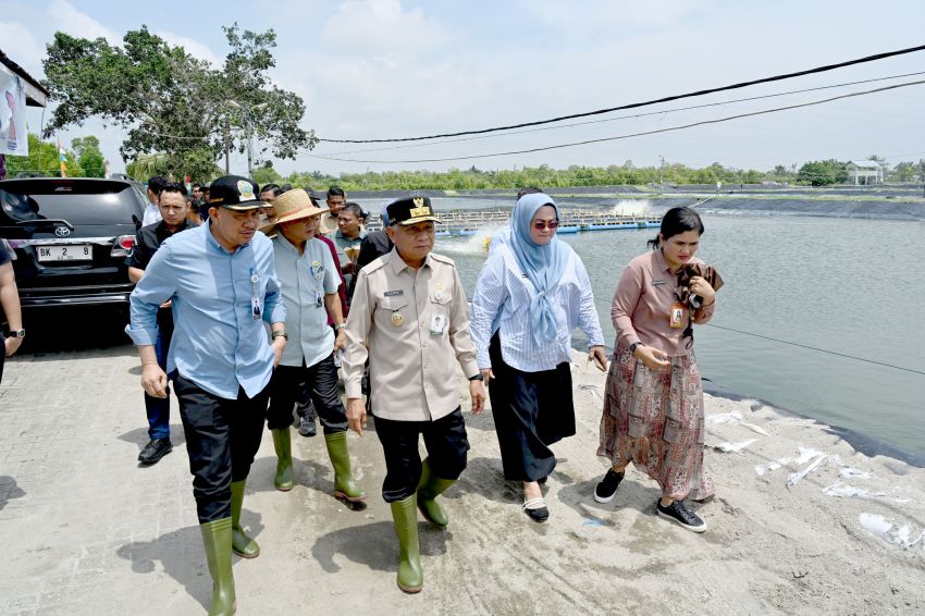 Tinjau UPTD BIAPAL Sialang Buah, Wagub Sumut Surya Dorong Peningkatan PAD Sektor Perikanan