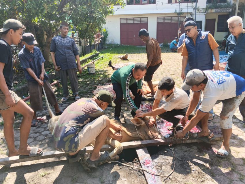 PWI Sumut Sembelih 6 Hewan Kurban, Bagikan 500 Kupon kepada Anggota dan Warakawuri