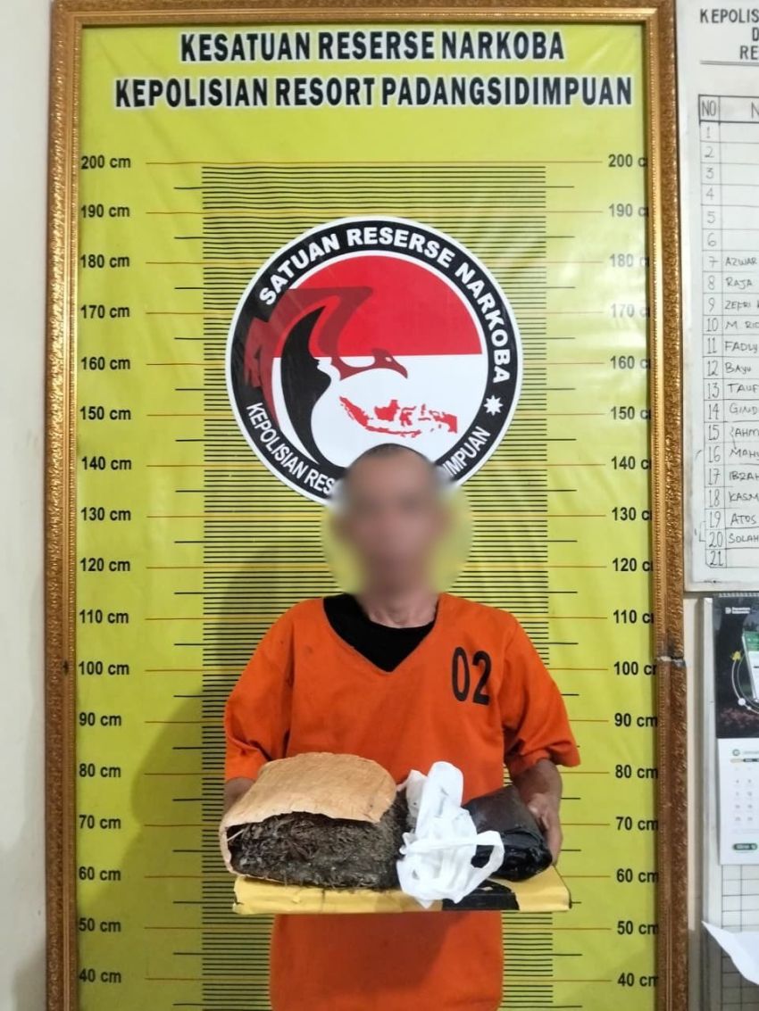 Satresnarkoba Polres Padangsidimpuan Gagalkan Peredaran 900 Gram Ganja, Seorang Pria Diamankan di Batunadua