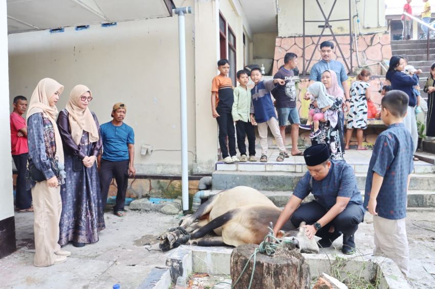 Kapolres AKBP Dr. Wira Prayatna Tebar Kepedulian di Idul Adha 1447 H, Polres Padangsidimpuan Sembelih 8 Ekor Lembu