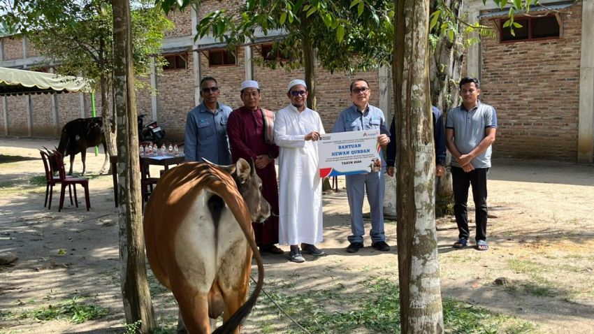 Inalum Tebar 107 Hewan Qurban di Sumut, Perkuat Sosial di Wilayah Operasional