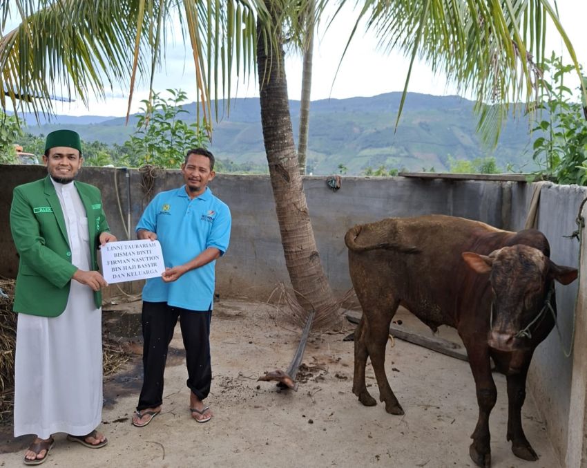 Majelis Dakwah Al Washliyah SUMUT salurkan Hewan Qurban ke Daerah Minoritas Perbatasan
