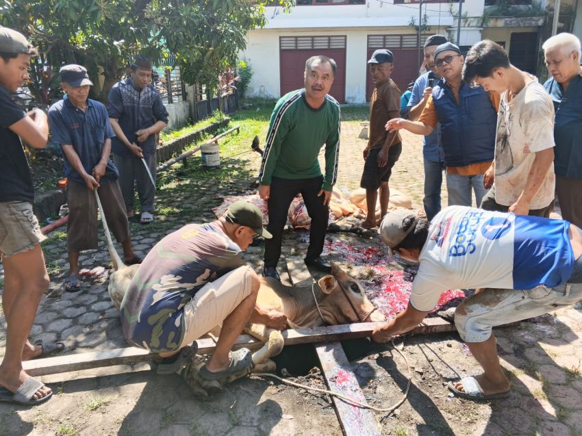 Musa Rajekshah Salurkan Hewan Kurban untuk PWI Sumut