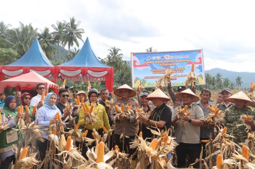 Panen Raya Jagung Serentak di Tapsel, Kapolres AKBP Yon Edi Winara Tegaskan Komitmen Dukung Ketahanan Pangan