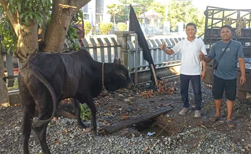 BNCT dan Bea Cukai Belawan Kolaborasi Salurkan Hewan Qurban Untuk Masyarakat Belawan