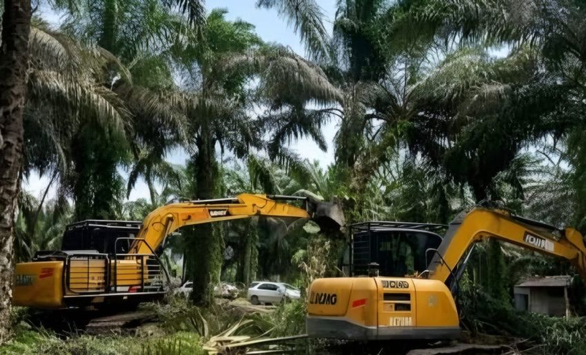 Hutan Blok 14 Diduga Dijual dan Dialihfungsikan Jadi Sawit, Pengawasan Dinyatakan Lemah