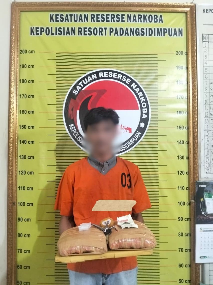 Dua Bal Ganja dalam Jok Motor, Pemuda Padangsidimpuan Ditangkap Satresnarkoba Padangsidimpuan Saat Melintas di Aek Tampang