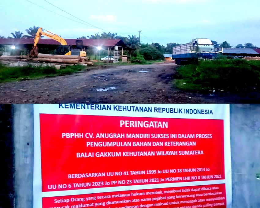 Ratusan Kayu Gelondongan Diduga Tanpa Izin Disita Gakkum di Kilang Pengolahan Kayu Kisaran