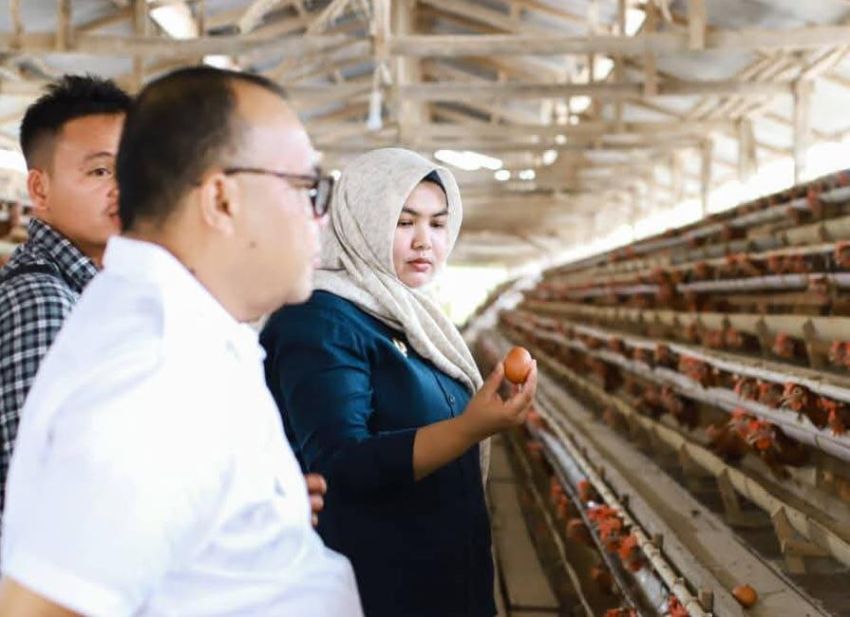Pemkab Madina Studi Banding Payakumbuh Sumbar,Atika Nasution : Swasembada Telur untuk Dukung Program Makan Bergizi Gratis