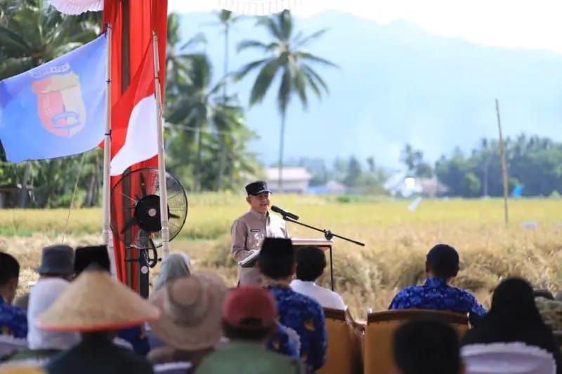 Mendukung Ketahanan Pangan Nasional Wawako Suryadi ikut Panen Raya.