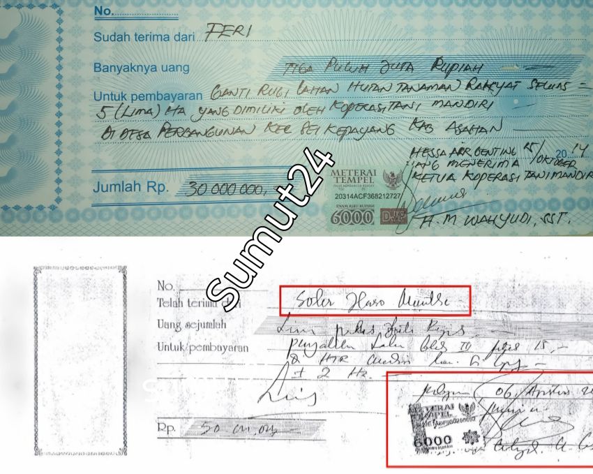 Beralih Fungsi Sejak 2014&ndash;2026 : Kawasan HTR Koperasi Tani Mandiri Diduga Berubah Menjadi Kebun Sawit, Ada Bukti Kwitansi