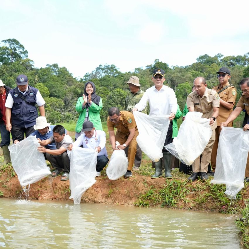 Dukung Ketahanan Pangan, Bupati Tapsel 16.500 Benih Ikan dan 2,9 Ton Pakan Digelontorkan, Siap Dongkrak Ekonomi Desa