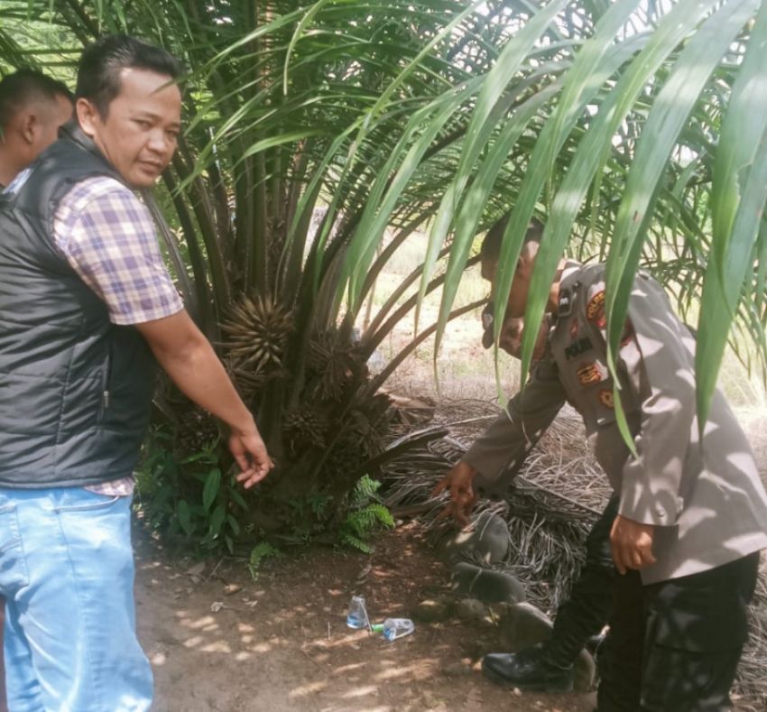 Respons Cepat Laporan Warga, Polsek Batangtoru Temukan Dugaan Alat Isap Sabu di Muara Batangtoru